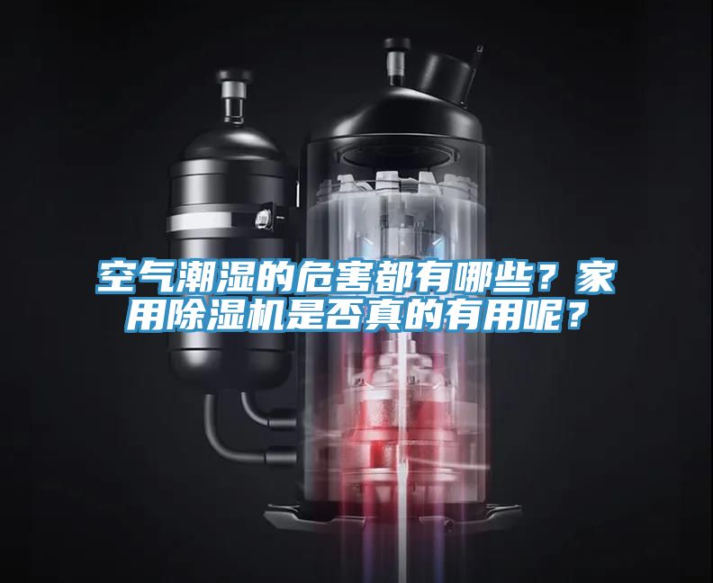 空氣潮濕的危害都有哪些？家用91看片软件大全是否真的有用呢？