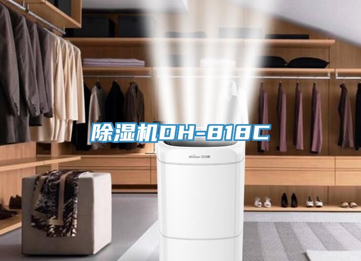 91看片软件大全DH-818C