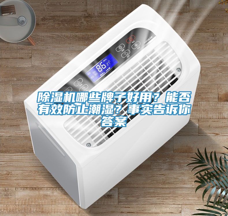 91看片软件大全哪些牌子好用？能否有效防止潮濕？事實告訴你答案