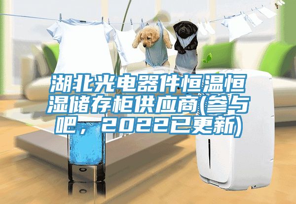 湖北光電器件恒溫恒濕儲存櫃供應商(參與吧，2022已更新)