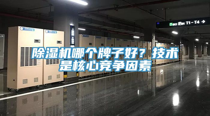 91看片软件大全哪個牌子好？技術是核心競爭因素