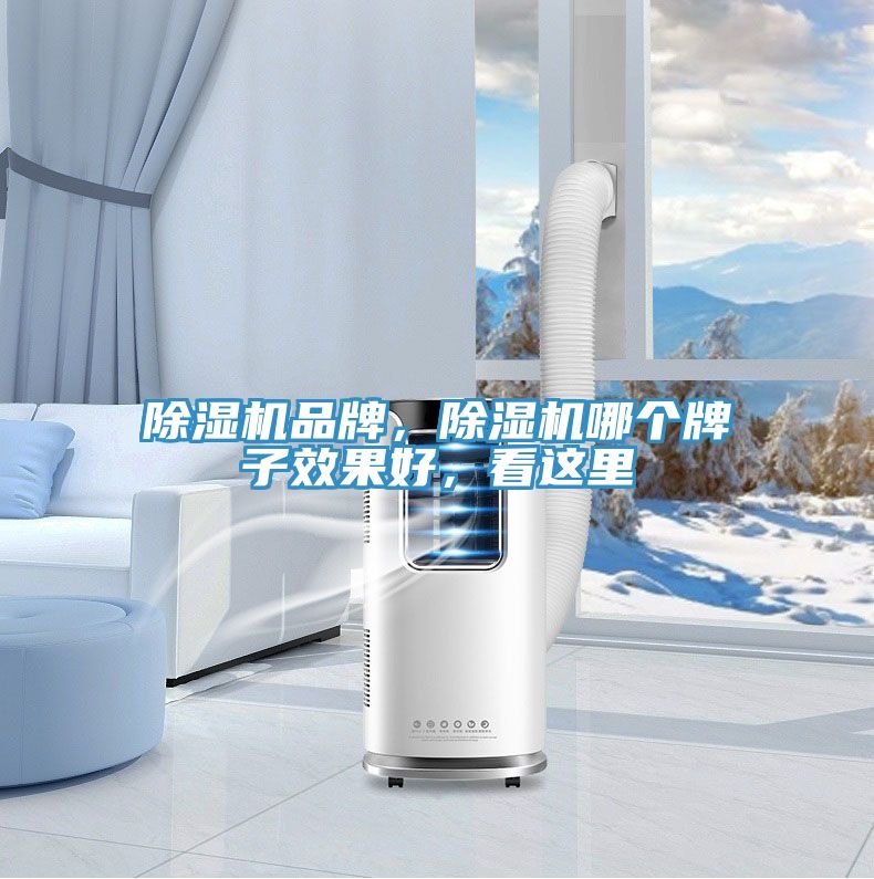 91看片软件大全品牌，91看片软件大全哪個牌子效果好，看這裏