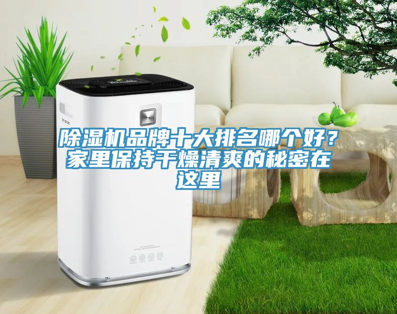 91看片软件大全品牌十大排名哪個好？家裏保持幹燥清爽的秘密在這裏