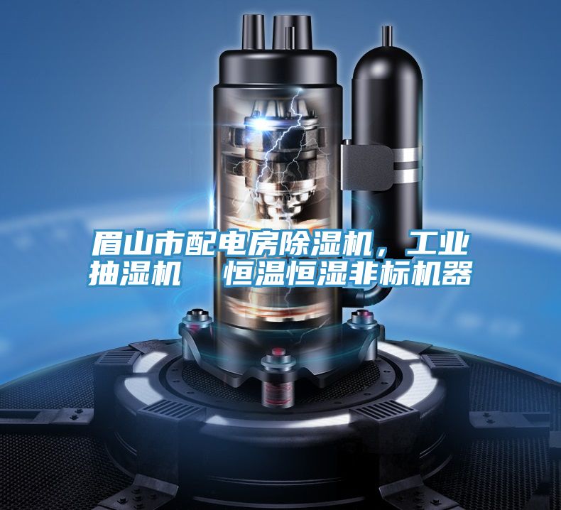 眉山市配電房91看片软件大全，工業抽濕機  恒溫恒濕非標機器