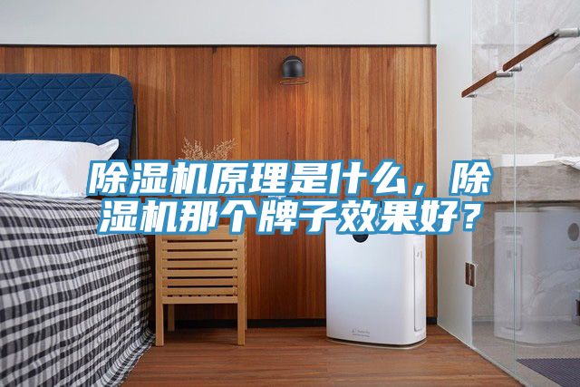 91看片软件大全原理是什麽，91看片软件大全那個牌子效果好？