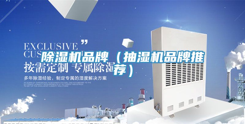 91看片软件大全品牌（抽濕機品牌推薦）