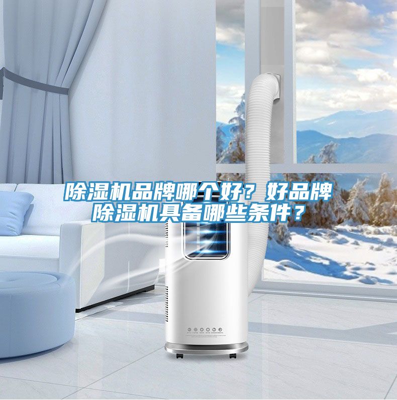 91看片软件大全品牌哪個好？好品牌91看片软件大全具備哪些條件？