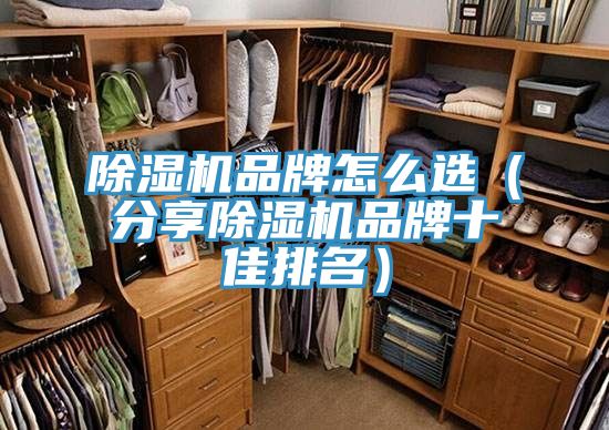 91看片软件大全品牌怎麽選（分享91看片软件大全品牌十佳排名）