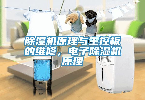91看片软件大全原理與主控板的維修，電子91看片软件大全原理