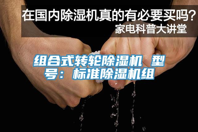 組合式轉輪91看片软件大全 型號：標準91看片软件大全組