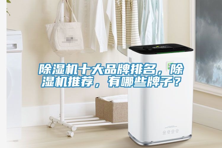 91看片软件大全十大品牌排名，91看片软件大全推薦，有哪些牌子？