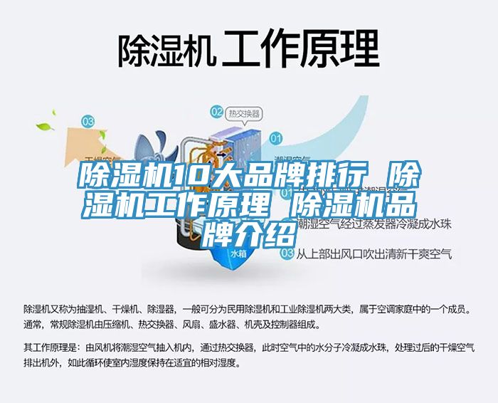 91看片软件大全10大品牌排行 91看片软件大全工作原理 91看片软件大全品牌介紹