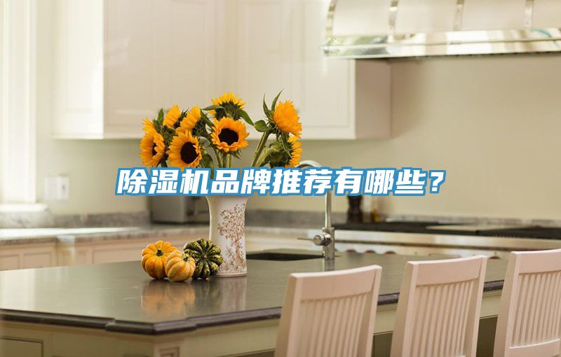 91看片软件大全品牌推薦有哪些？