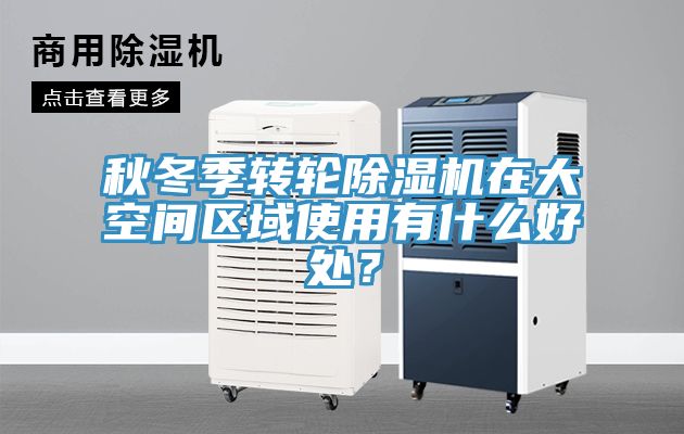秋冬季轉輪91看片软件大全在大空間區域使用有什麽好處？