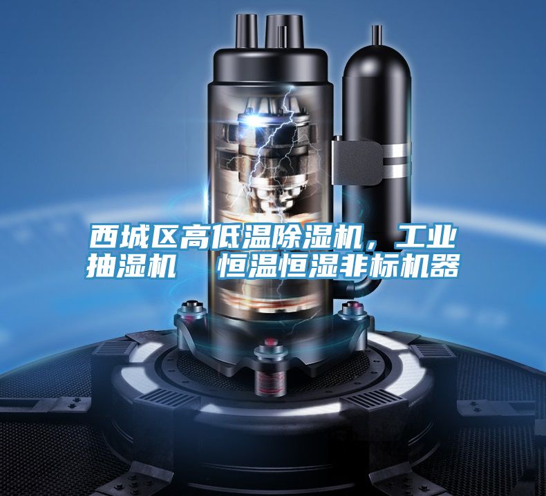 西城區高低溫91看片软件大全，工業抽濕機  恒溫恒濕非標機器