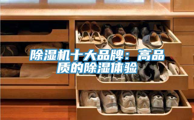 91看片软件大全十大品牌：高品質的除濕體驗