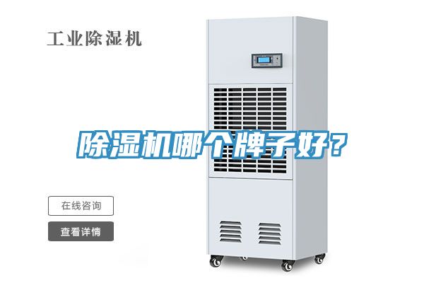 91看片软件大全哪個牌子好？