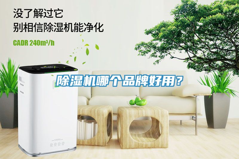 91看片软件大全哪個品牌好用？
