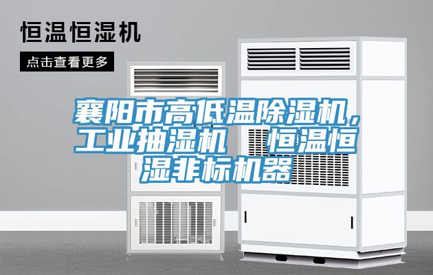 襄陽市高低溫91看片软件大全，工業抽濕機  恒溫恒濕非標機器