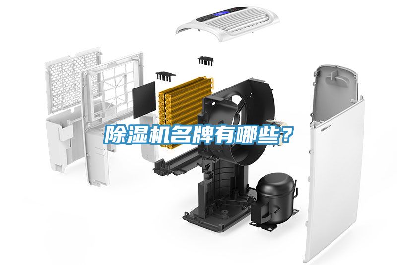 91看片软件大全名牌有哪些？
