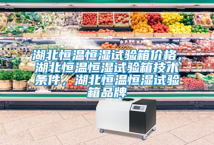 湖北恒溫恒濕試驗箱價格，湖北恒溫恒濕試驗箱技術條件，湖北恒溫恒濕試驗箱品牌