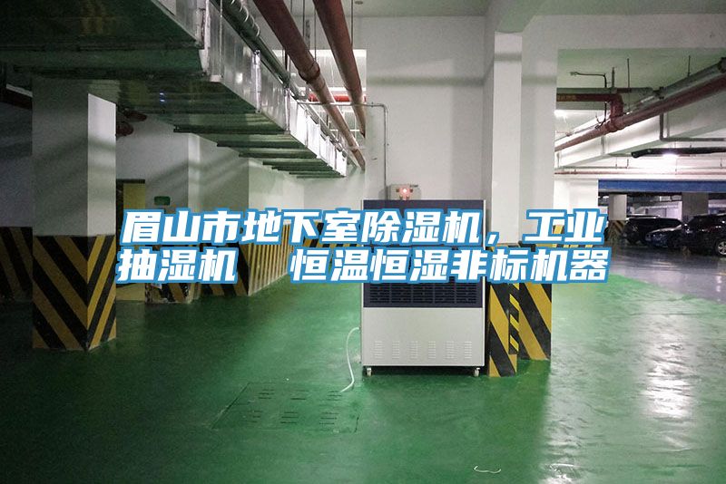 眉山市地下室91看片软件大全，工業抽濕機  恒溫恒濕非標機器