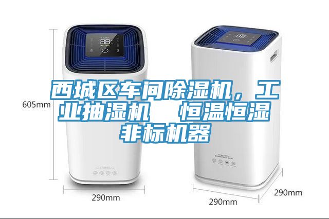 西城區車間91看片软件大全，工業抽濕機  恒溫恒濕非標機器