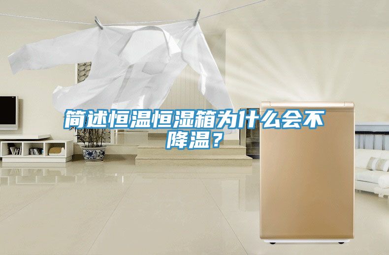 簡述恒溫恒濕箱為什麽會不降溫？