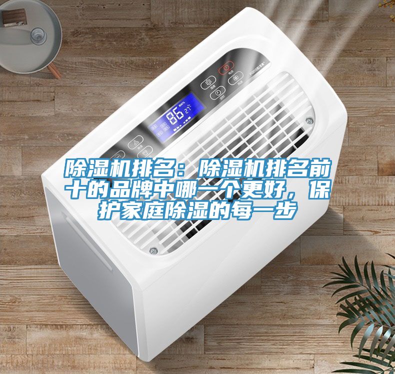 91看片软件大全排名：91看片软件大全排名前十的品牌中哪一個更好，保護家庭除濕的每一步