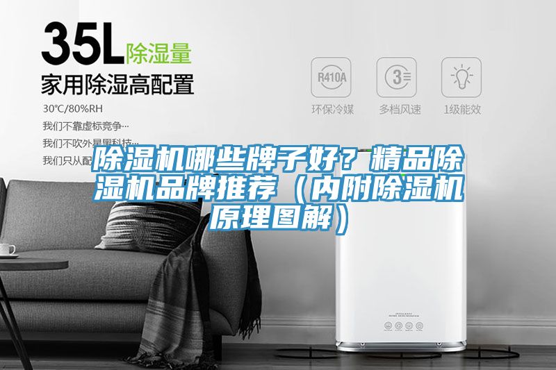 91看片软件大全哪些牌子好？精品91看片软件大全品牌推薦（內附91看片软件大全原理圖解）