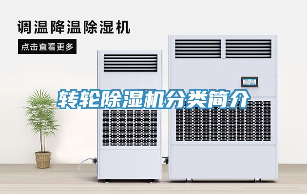 轉輪91看片软件大全分類簡介