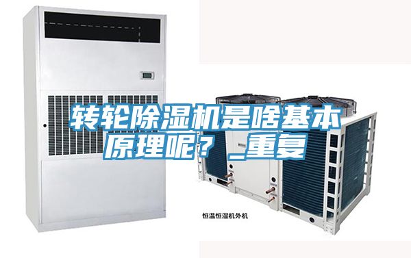 轉輪91看片软件大全是啥基本原理呢？_重複