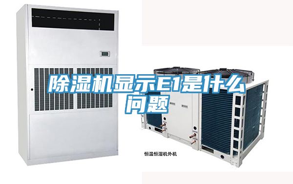 91看片软件大全顯示E1是什麽問題