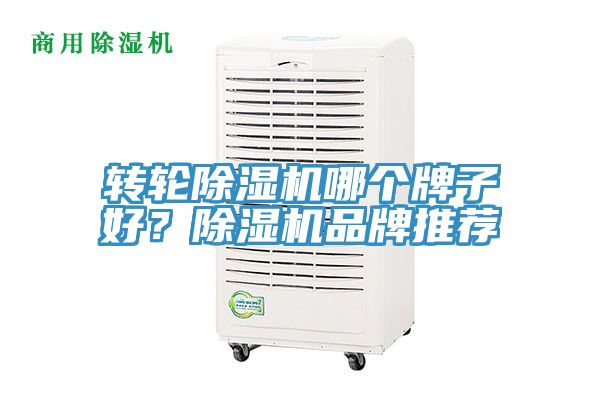 轉輪91看片软件大全哪個牌子好？91看片软件大全品牌推薦