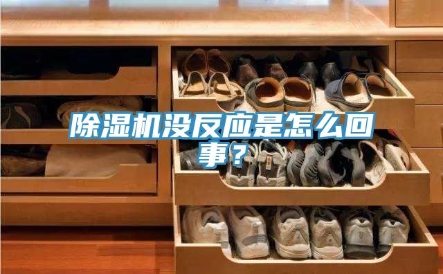 91看片软件大全沒反應是怎麽回事？