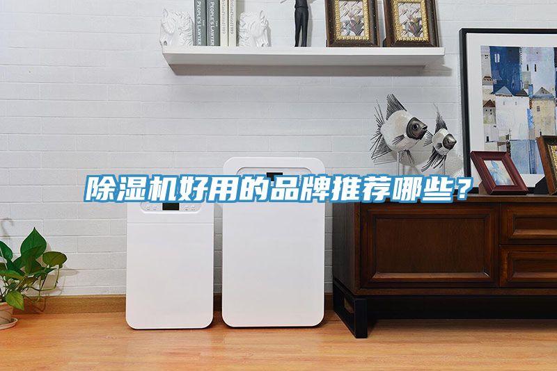 91看片软件大全好用的品牌推薦哪些？
