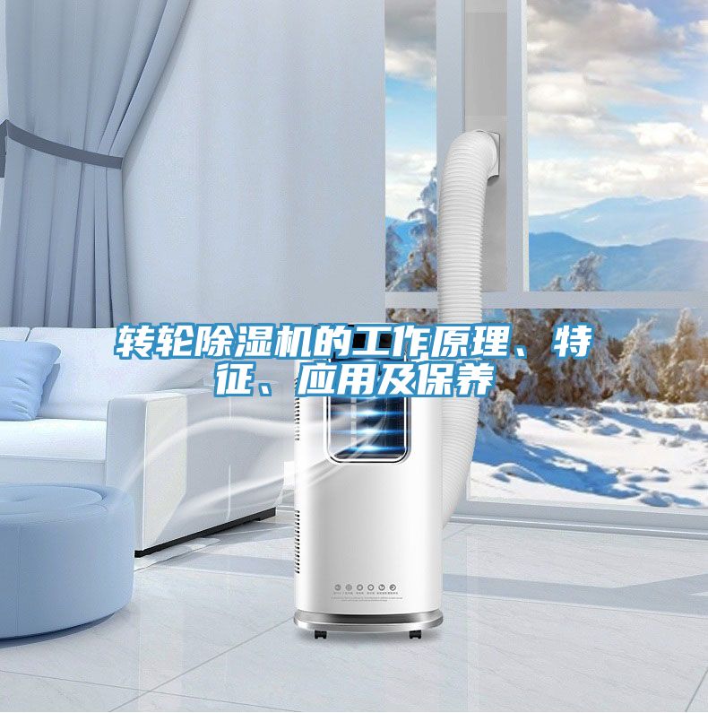 轉輪91看片软件大全的工作原理、特征、應用及保養