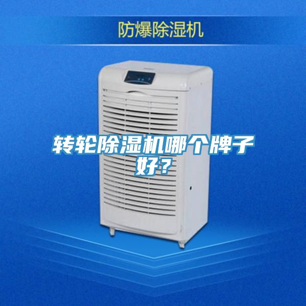 轉輪91看片软件大全哪個牌子好？