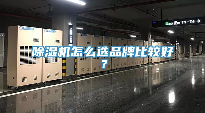 91看片软件大全怎麽選品牌比較好？