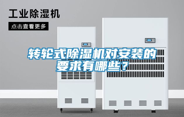 轉輪式91看片软件大全對安裝的要求有哪些？