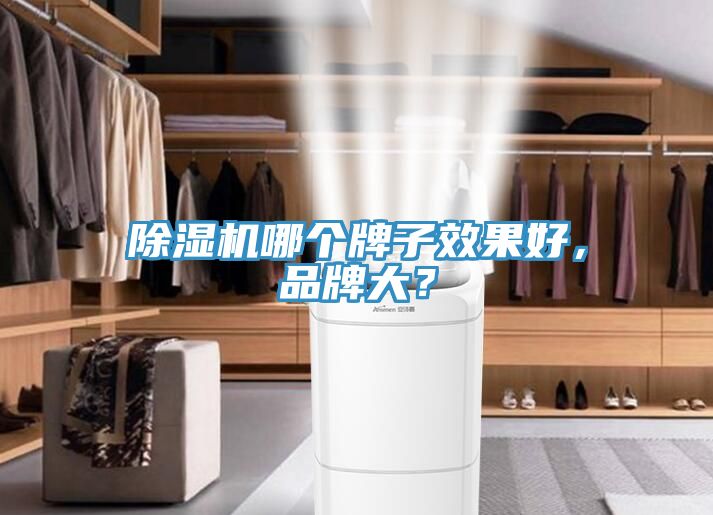 91看片软件大全哪個牌子效果好，品牌大？