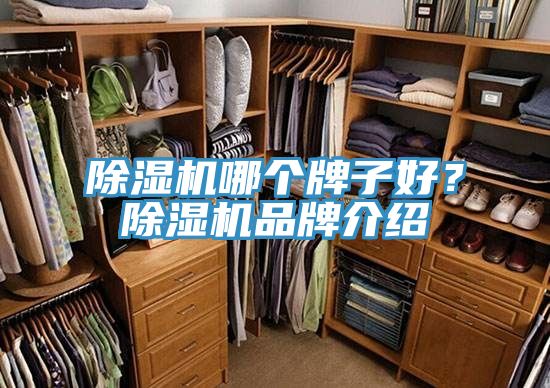 91看片软件大全哪個牌子好？91看片软件大全品牌介紹