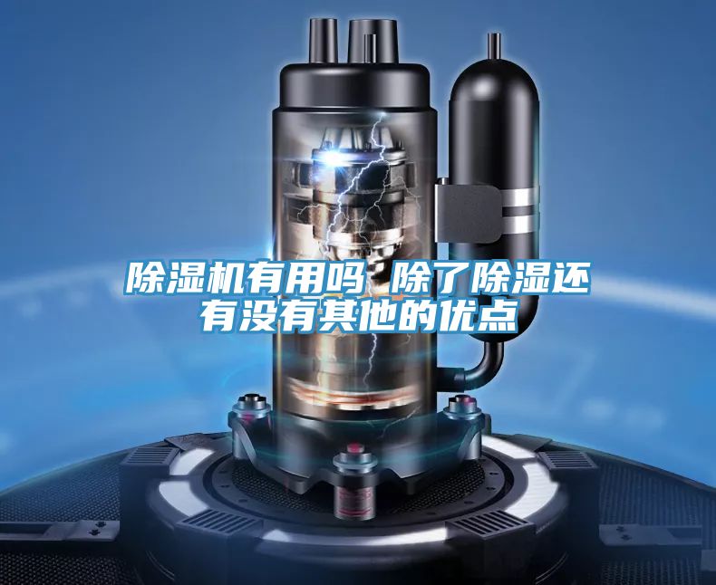 91看片软件大全有用嗎 除了除濕還有沒有其他的優點