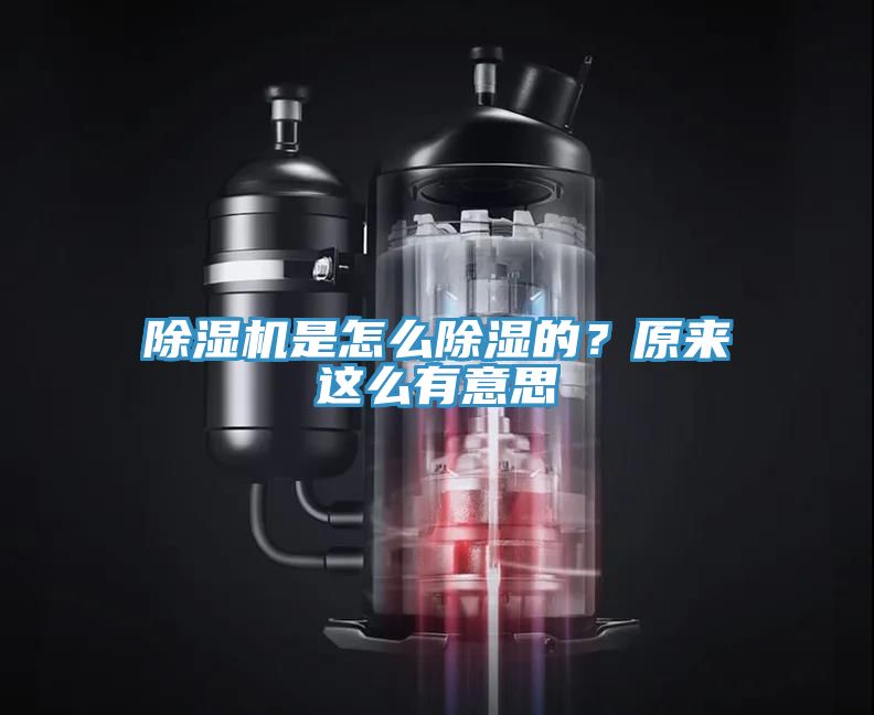 91看片软件大全是怎麽除濕的？原來這麽有意思