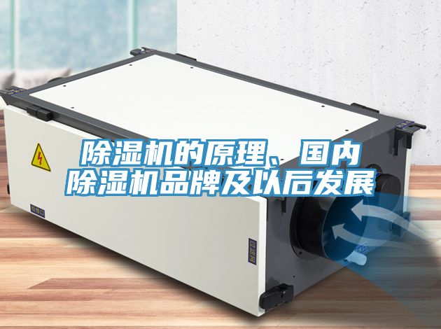 91看片软件大全的原理、國內91看片软件大全品牌及以後發展