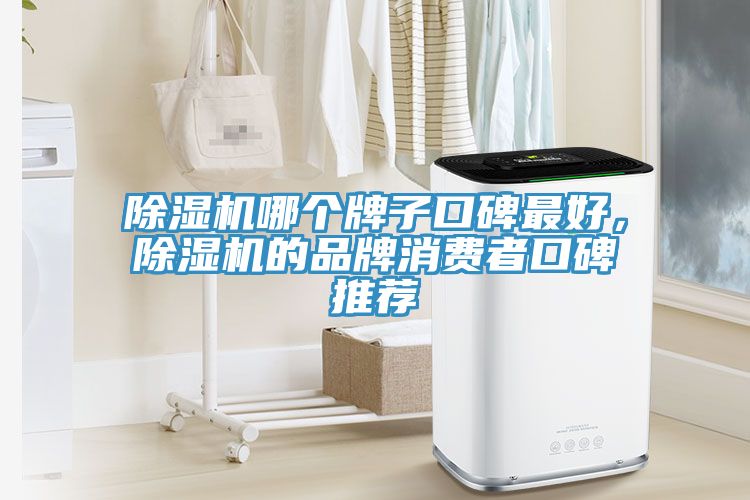 91看片软件大全哪個牌子口碑最好，91看片软件大全的品牌消費者口碑推薦