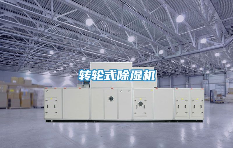 轉輪式91看片软件大全
