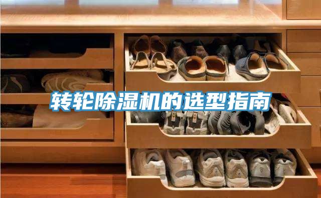 轉輪91看片软件大全的選型指南