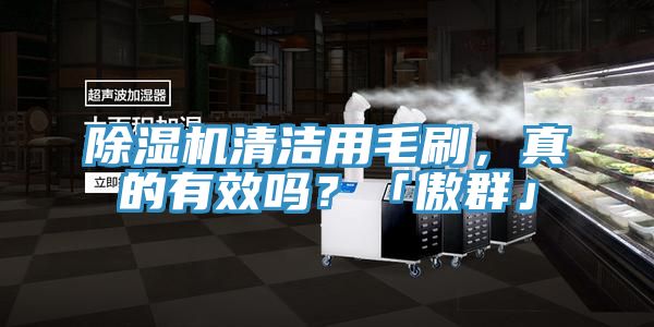 91看片软件大全清潔用毛刷，真的有效嗎？「傲群」