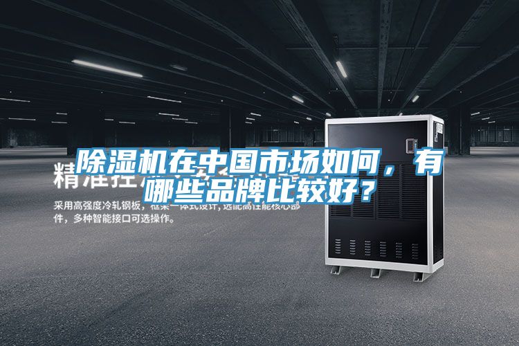 91看片软件大全在中國市場如何，有哪些品牌比較好？